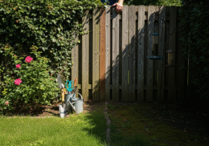 Spory o cień: Jak prawo reguluje nasadzenia wysokich drzew rzucających cień na działkę sąsiada.